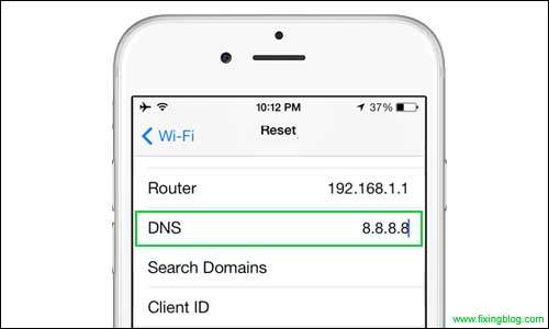 Update Dns to Google Dns in Iphone