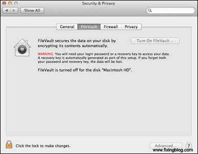 File Vault in System privacy